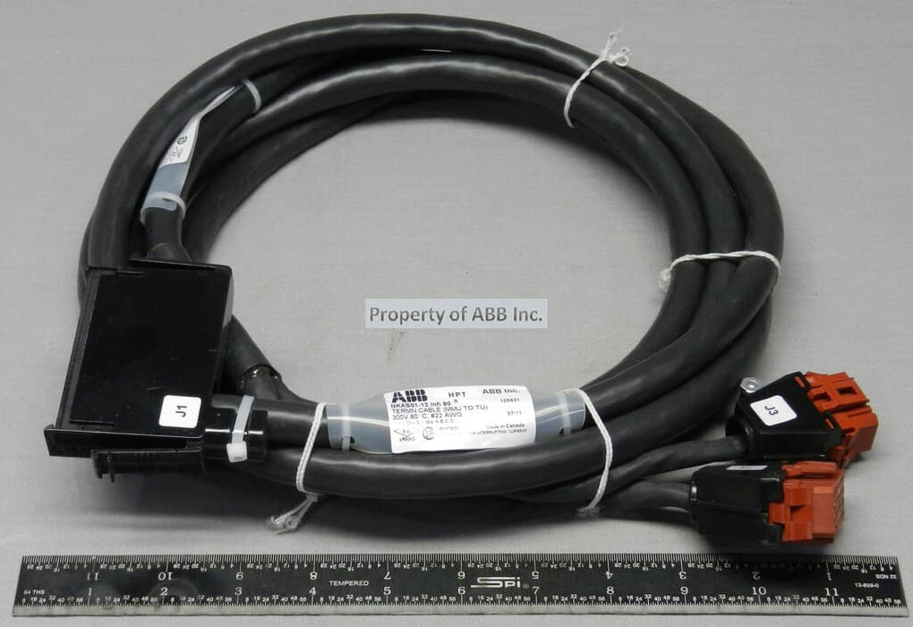 ABB NKAS01-12 Analog Module TU Cable - 12 Ft (Pvc)