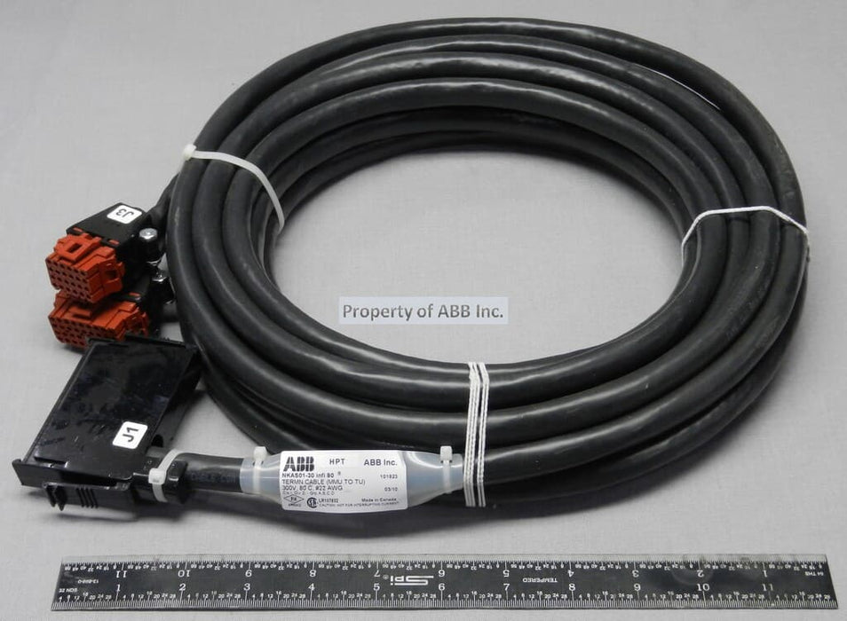 ABB NKAS01-30 Analog Module TU Cable - 30 Ft (Pvc)